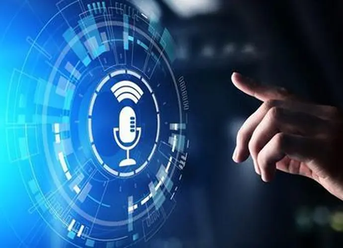 Voice Bot Development